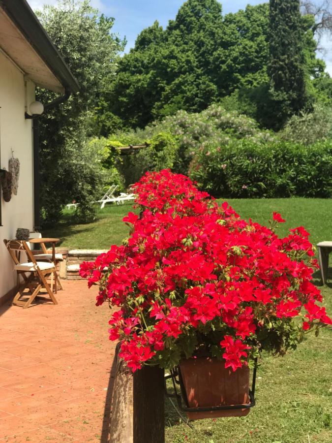 Agriturismo B&B Le Casette Sul Garda Cavaion Veronese Eksteriør billede