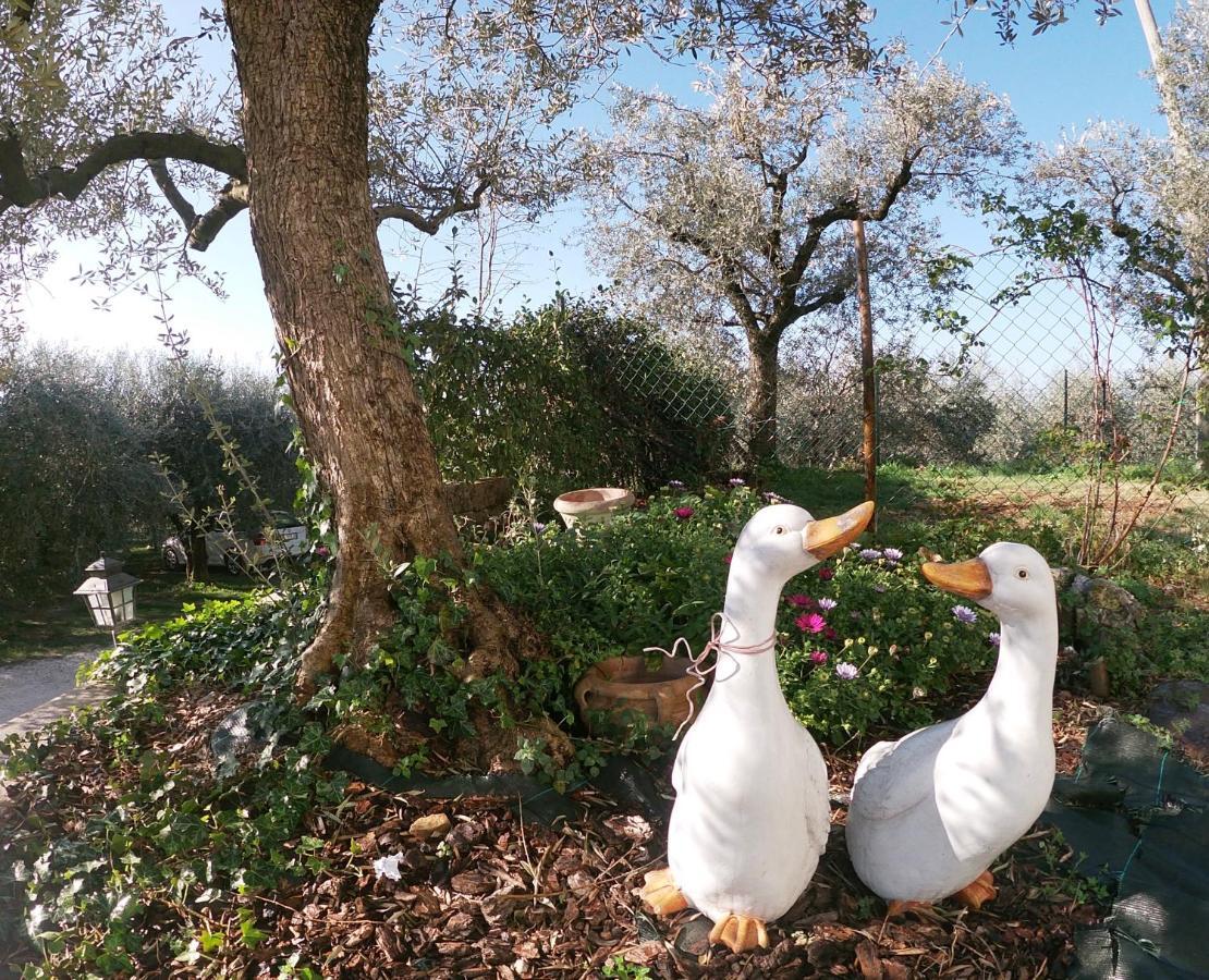 Agriturismo B&B Le Casette Sul Garda Cavaion Veronese Eksteriør billede